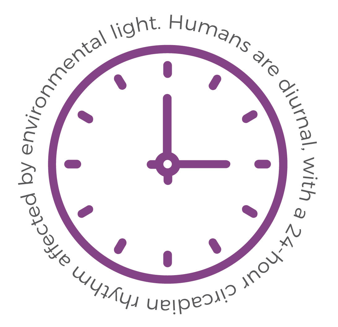 SOR_Science-Chronobiology.jpg