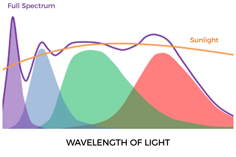 wavelength-of-light.jpg